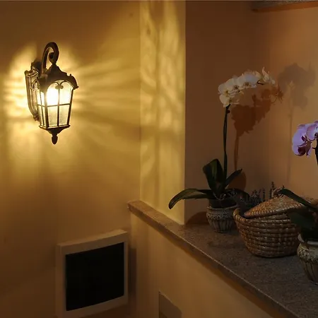 Apartment Orhideja